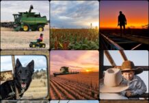 Capture the spirit of the bush