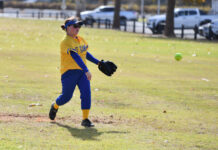 Third place for Division 2 masters team