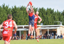 Demons grasp last-quarter win from Tigers