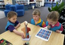 Plenty on at Millicent Library