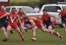 Full strength Tigers hit hard