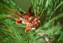 Photo competition extended