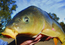 Fishing competition called off in city