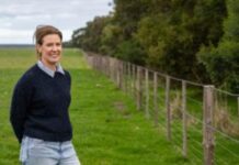 Landscape grants revegetate wetlands