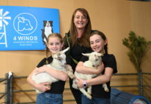 Big day out at Mount Gambier Show