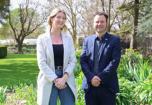 Stand Like Stone Foundation support