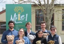 Teddy bears get hospital treatment