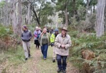 New plan for landscape board