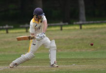 Tigers in a good spot