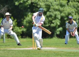 Mozzies out for blood against Furner/Beachport