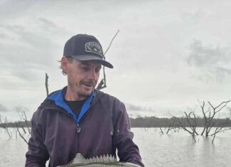 Windows of opportunity open