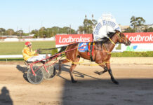 Late maturer now blossoming