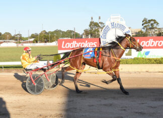 Late maturer now blossoming