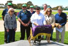 Pocket rocket leads memorial rivals a merry dance