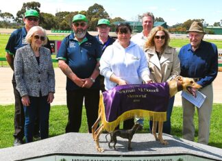 Pocket rocket leads memorial rivals a merry dance