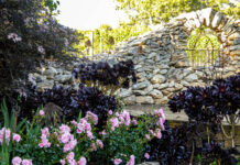 Enjoy a day at St Mary’s