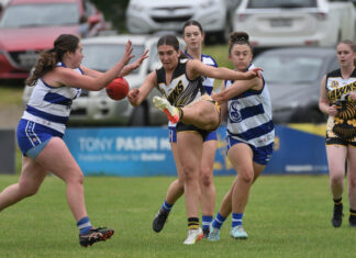 Mundulla and Cats still unbeaten