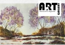Art workshops in Naracoorte