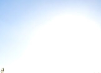 Community feedback guides future engagement