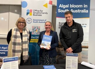 How to access business support through algal bloom