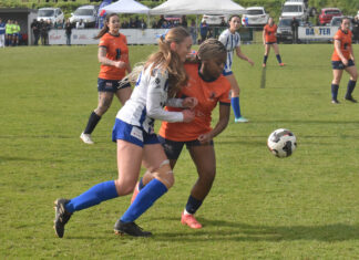 Apollo rockets to premiership defence