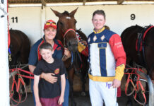 Irish horse claims Bordertown cup
