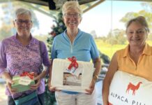 Top front nine earns Morrison the win