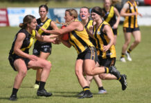 Grand finalists locked in