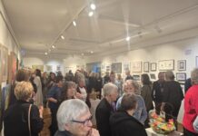 Creativity and community continue to shine in Wattle Range