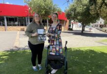 Inclusive disability plan endorsed