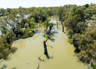 A Hotter, Drier Murray-Darling Basin: What the Science Says