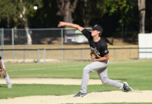 Turner’s triple sparks Central to decisive win