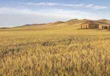 More drought funding given