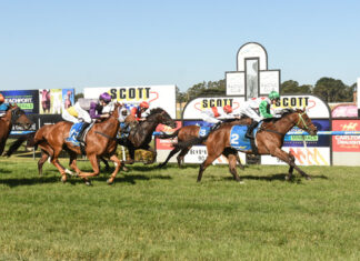 Clean sweep for Victorians