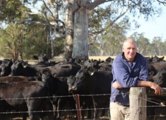 Association reacts to plan