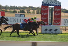 Enviable winning strike rates