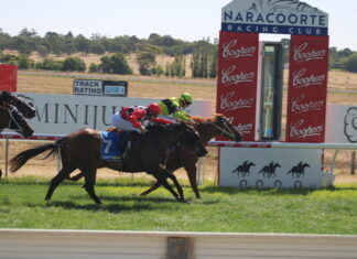 Enviable winning strike rates