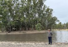 Bat restoration success