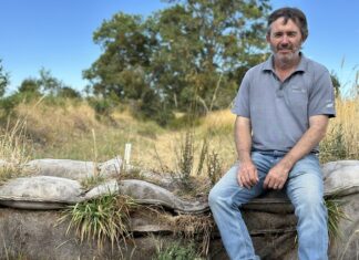 Mount Burr Swamp restoration continues