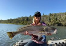 A bit of everything on the bite