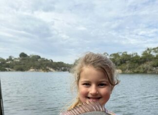 Plenty of action along the coast