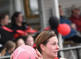 New faces at the Kennel