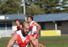 Roosters in fine form at home