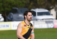 Tigers handle adverse conditions best