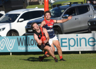 Bulldogs find top form at home