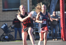 Tigers bounce back in style