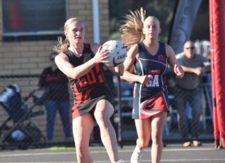 Tigers bounce back in style