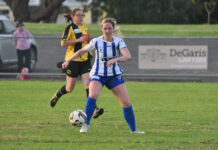 Lions fight off Panthers at MGA Park