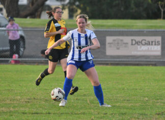 Lions fight off Panthers at MGA Park