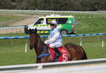 Creek stable back in action today